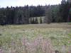 Lot 13 Hidden Lake Subdivision